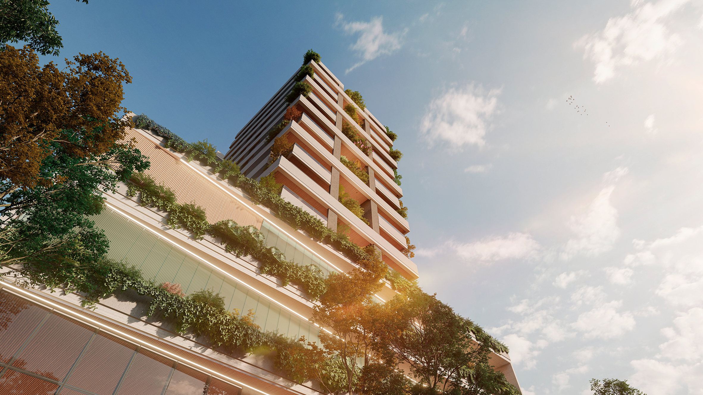 Perspectiva_04-(3)